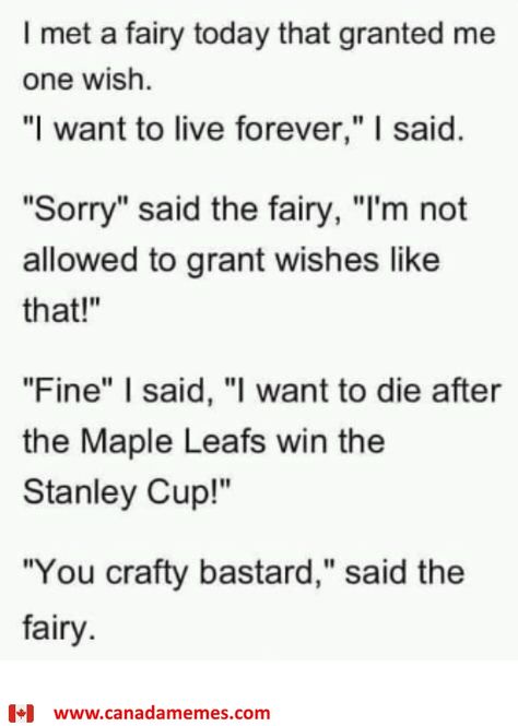 The Fairy and The Toronto Maple Leafs Canada Memes, Hockey Boards, Hockey Memes, Bruins Hockey, Hockey Humor, One Night Stand, Pittsburgh Penguins Hockey, Architecture Quotes, Penguins Hockey