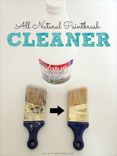 10 Paint Secrets: tips & tricks you never knew about paint! Cleaning Paint Brushes, Workbench Plans, Vinegar Cleaning, Paint Stain, Diy Cleaning Products, Cleaning Organizing, Painting Tips, Home Repair, Household Hacks