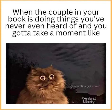 Book Humor Romance, Book Humour, Bookworm Problems, Fandom Quotes, Tiktok Ideas, Nerd Problems, Books Quotes, Dark Romance Books, Book Nerd Problems