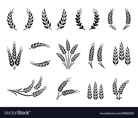 Wheat Drawing, Draw Tree, Wheat Tattoo, Wheat Vector, Rye Grain, Wheat Design, Create Digital Product, Svg For Cricut, Png Design