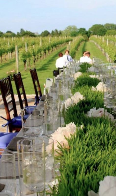 vinyard + grass centerpiece Hello Wine, Grass Centerpiece, Napa Style, Gala Themes, Square Candles, Instead Of Flowers, Modern Centerpieces, Spring Wedding Decorations, Event Centerpiece