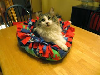 Cat Walkway, Cat Bed Pattern, Cats Facts, Fleece Pet Bed, Cat Pod, Diy Cat Bed, Diy Pet Bed, Cat Tree House, Cat House Diy