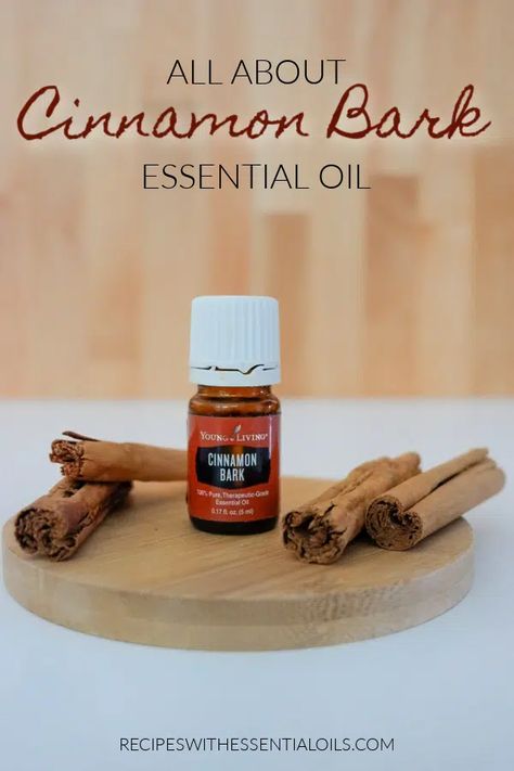 Cinnamon Uses, Cinnamon Bark Essential Oil, Cooking With Essential Oils, Essential Oil Roller Balls, Cinnamon Essential Oil, Cinnamon Bark, Living Essentials Oils, Shower Oil, Essential Oil Diffuser Blends