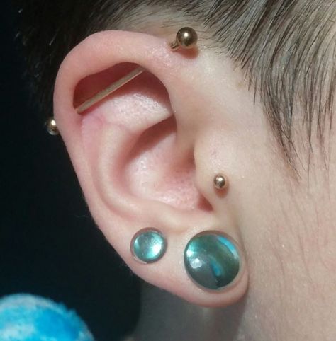 Double Stretched Lobes, Double Stretched Ears, 0g Stretched Ears, Piercing Claims, Lobe Stretching, Stretched Ear Lobes, Stretched Ear, Ear Stretching, Tapers And Plugs