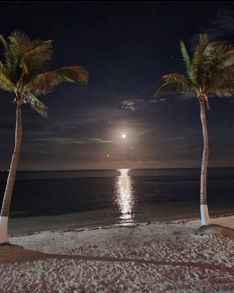 Cancun on Instagram: “Day or night… the view is just flawless… #cancun #playadelcarmen #mexico #caribbean #instatravel #travel #live #enjoy Credit:…” Bahamas Wedding, Bahamas Cruise, Beach At Night, Caribbean Beaches, Mexico Vacation, Cancun Mexico, Summer Pictures, Riviera Maya, Pretty Places