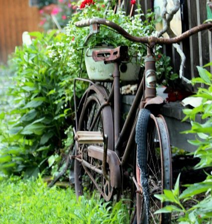 Bike Baskets, Flea Market Gardening, Backyard Plan, Antique Garden, Bike Ideas, Garden Containers, Antique Kitchen, Old Bikes, Vintage Bike