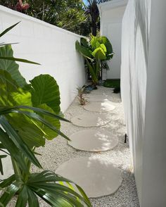 Concrete Path, Side Yard Landscaping, Tropical Garden Design, Pool Landscape Design, Backyard Pool Landscaping, So Many Questions, Side Garden, Casa Exterior, Elephant Ears