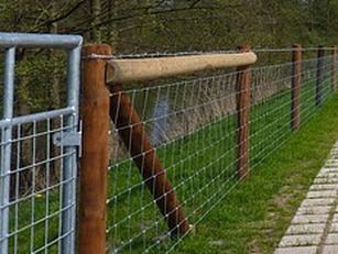 Welded Wire Fencing for Sheep: Costs Sheep Fencing Ideas, Sheep Fence Ideas, Bison Farming, Sheep Fencing, Gate To Backyard, Keeping Sheep, Solar Electric Fence, Sheep Shelter, Sheep Fence