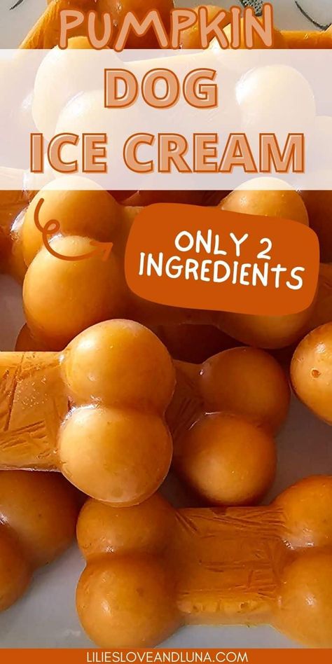 Frozen Pumpkin Dog Treats, Homemade Pumpkin Ice Cream, Dog Snacks Recipes, Yogurt Dog Treats, Ice Cream For Dogs, Dog Treats Homemade Pumpkin, Dog Ice Cream Recipe, Frozen Dog Treats Homemade, Frozen Treats Recipes