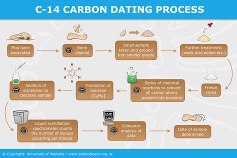 C-14 carbon dating process — INTERACTIVE. How do we know how old the bones are of extinct species? Carbon Dating, Absolute Dating, Science Learning, Image Map, Human Activity, Chemical Reactions, Learning Science, Plant Fibres, Curve Design