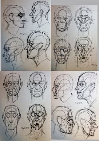 reilly abstraction - Google Search Heads Anatomy, Reilly Abstraction, Heads Reference, Frank Reilly, Reilly Method, Anatomy Studies, Head Anatomy, Anatomy References, Figure Drawings