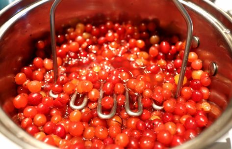 Spicy Highbush Cranberry Mustard Highbush Cranberry Recipes, High Bush Cranberry, Forage Recipes, Mustard Recipes, Cranberry Mustard, Highbush Cranberry, Cranberry Butter, Cranberry Benefits, Preserving Foods