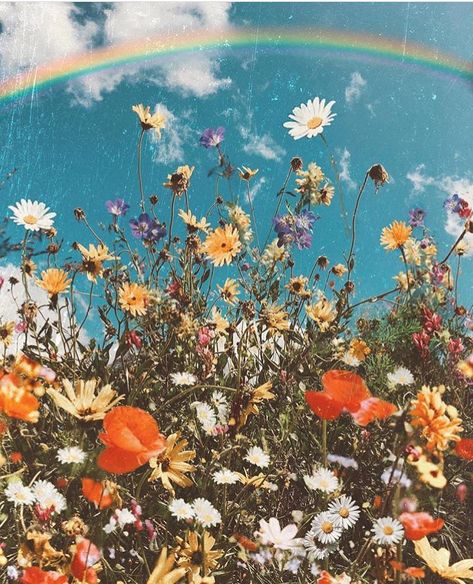 BOHEMIAN DECOR on Instagram: “I do believe that flowers give us positive vibrations 🌸💞 Tag a flower lover 🌺🦋💐 via @odwyer_sio9 🌼🌈 . #flowers #flower #flowerstagram…” Mundo Hippie, I Feel Happy, Wallpaper Macbook, Wallpaper Estetika, Wallpaper Flower, Spring Background, Have Inspiration, Spring Wallpaper, Macbook Wallpaper