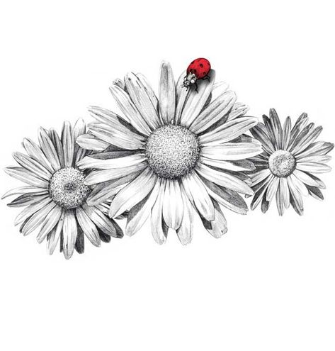 Blés illustration Daisy With Ladybug Tattoo, Gerbera Daisy Tattoo Black And White, Daisy Ladybug Tattoo, Daisy And Ladybug Tattoo, Daisy Tattoo Designs Drawings, Daisy Flower Tattoo Designs, Daisy Tatoos, Gerbera Daisy Tattoo, Daisies Tattoo