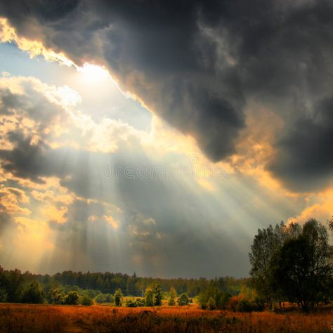 Sun rays over forest. Photo of sunset sky with rays of light over field , #sponsored, #forest, #Photo, #Sun, #rays, #light #ad Radiant Weather, Sky Scapes, Lightning Background, Environment Photography, Cloud Photos, Rays Of Light, Invitation Background, Light Rays, Fashion Portfolio