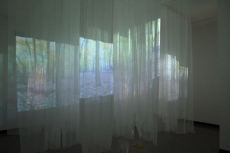 Forest, by Joonhee Park, 2010 (A New Media, Video Installation). by johnwalford, via Flickr Literature Exhibition, Projection Installation, Fabric Installation, New Media Art, Projection Mapping, Video Installation, Art Installation, Video Projection, Stage Design