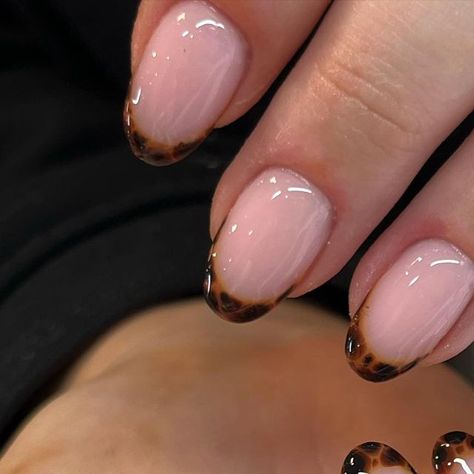 𝐆𝐈𝐀𝐍𝐆’𝐒 𝐍𝐀𝐈𝐋𝐒 | 1,2,3,4 or 5 is your tortoise shell style ? 🐢🍂🤎✨ #tortoise #tortoisenails #winter #nail #nailinspiration #nailoftheday #nailinstagram... | Instagram Biab Nails Tortoise Shell, Short Turtle Shell Nails, Tortoise Shell Nail Tips, Tortoise Nail Design, Turtle Shell Nails Design, Fall Nails Tortoise Shell, Short Tortoise Nails, Blue Tortoise Shell Nails, Tortishell Nails Design French