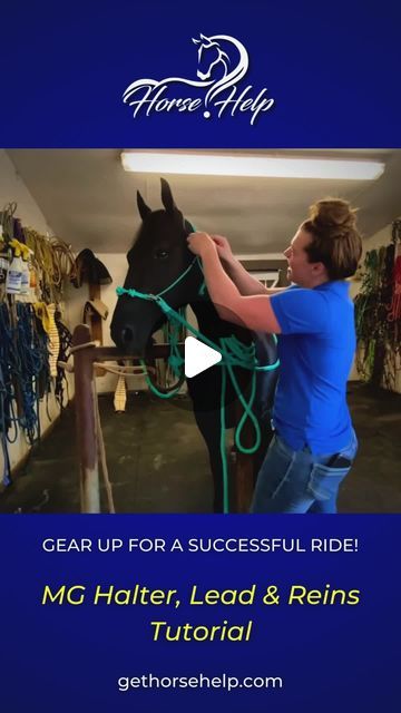 Horse Help on Instagram: "Tack up like a pro! 🐎 Watch our tutorial to learn the proper steps for tacking up your horse before a ride with our MG Halter, Lead Rope, and Reins. #tackup #horsetacking #equinecare #horseridingtips #equestrianlife #horsegear" Equine Care, Horse Riding Tips, Lead Rope, Horse Gear, Equestrian Life, Horse Training, Horse Tack, May 7, Like A Pro