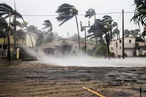 'Sea-level rise won't affect my house' – even flood maps don't sway Florida coastal residents Public Adjuster, Flood Map, Storm Surge, Sea Level Rise, Survival Life, Nba Season, The Dominican Republic, Naples Fl, Sea Level