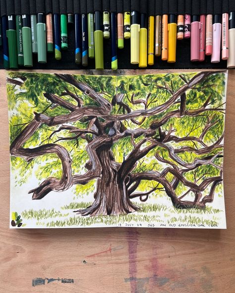 #day565 - An old English oak tree. - I love an old English oak tree for how stubby and chunky they are with all their lumps and bumps. Along with their squiggly curly branches and bright green leaves. - - - #englishoaktree #englishoak #oaktree #treeillustration #treedrawing @pithsupply #pithsketchbook #pith #dailyartwork #dailyartchallenge #dailyartproject #sketchbookspread #sketchbookpractice #drawingeverday #everydayart English Oak Tree, Color Art Lessons, Art Projects For Adults, Life Color, Everyday Art, Tree Illustration, Tree Drawing, Beautiful Drawings, Love Drawings