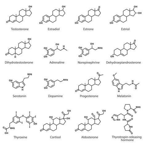 Hormone Tattoo, Chemical Tattoos, Chemical Structure Tattoo, Chemical Tattoo, Dopamine Tattoo, Disease Infographic, Chemistry Tattoo, Stitched Canvas, Science Tattoos