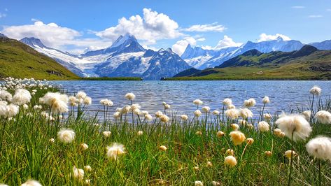 Bachalpsee Switzerland, Swiss Alps Summer, Switzerland In Summer, Switzerland Wallpaper, Switzerland Photography, Cute Pastel Wallpaper, Sunset Landscape, Beautiful Locations Nature, Arte Sketchbook