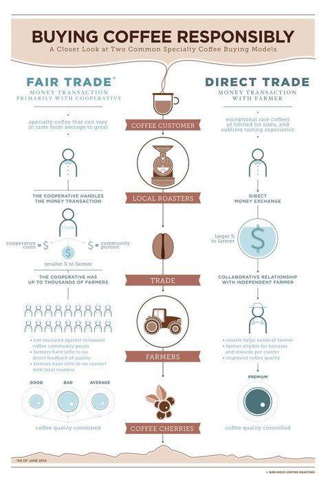 Coffee lovers, do you know the difference between direct trade and fair trade? : TreeHugger Green Tea Vs Coffee, Coffee Facts, Fair Trade Coffee, Espresso Shot, Gourmet Coffee, Coffee Tasting, Coffee Design, Great Coffee, Speciality Coffee