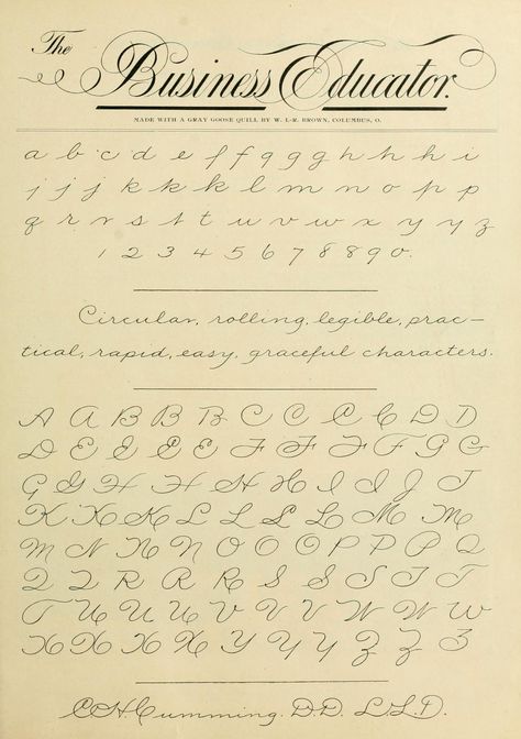 Historical Calligraphy, Spencerian Handwriting, Business Cursive, Palmer Method, Cursive Handwriting Fonts, Spencerian Script, Penmanship Handwriting, Best Cursive Fonts, Free Cursive Fonts