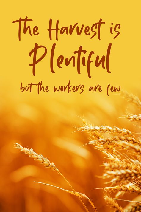 God isn’t asking you to reach the entire world. He is simply asking you to be a good steward of what He’s given you.  What is in your hand right now?  Share with us in the comments below. Would love to hear it.  Learn more about the harvest is plentiful but workers are few here: http://www.trainingauthors.com/harvest-is-plentiful-but-workers-are-few/  #christianwriter #christianwritersofinstagram #christianwriters #harvest #harvestisplentiful #workers #workersarefew #god #steward #goodsteward The Harvest Is Plentiful, Harvest Quotes, Gospel Tracts, Ministry Ideas, Women's Ministry, Random Inspiration, About Quotes, Troubled Times, Cute Couple Wallpaper