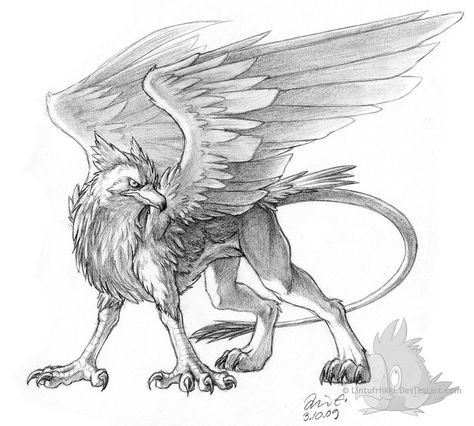 Pencil Gryphon by Lintufriikki on DeviantArt Lion With Wings, Mythical Creatures Drawings, Lion Sketch, Lion Drawing, Animal Symbolism, Fantasy Drawings, Mythical Animal, Creature Drawings, Mythical Creatures Art