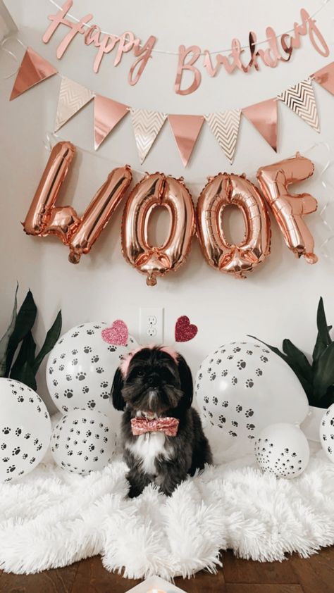 Pet Birthday Photoshoot Ideas, Dogs Birthday Photoshoot, Dog Birthday Photoshoot Ideas At Home, Dog First Birthday Pictures, Dog Birthday Photoshoot Ideas, Dogs First Birthday Ideas, Dog Birthday Photoshoot, Dog Birthday Pictures, Dog Party Decorations