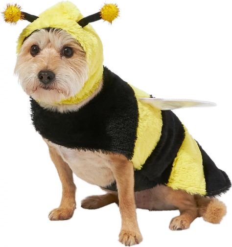 Frisco Bumble Bee Dog & Cat Costume Company Halloween, Bee Dog, Pet Spray, Wire Dog Crates, Cat Halloween Costume, Pet Halloween Costumes, Cat Costume, Dog Costumes, Dog Costume