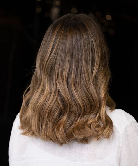 Long Hair Layers Balayage, Light Brunette Dimensional Hair, Hailait Hair Color, Natural Honey Brown Hair, Light Honey Brown Hair Color, Minimal Hair Color, Haircolor Ideas 2023, Brown Hair Color Inspiration, Medium Length Light Brown Hair