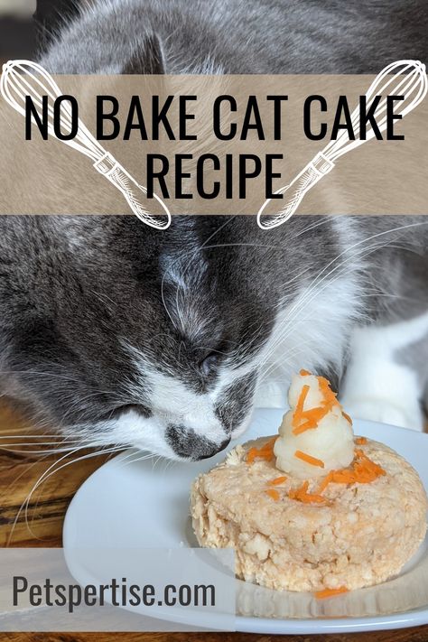 Cat Birthday Cake Recipe, Homemade Cat Cake, Cat Safe Cake Recipe, Cat Birthday Treats, Birthday Treat For Cat, Cat Safe Cake, Cat Friendly Cake Recipes, Birthday For Cat Pets, Cake For A Cat