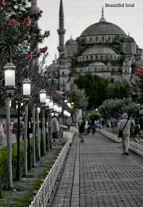 Taj Mahal, Color Splash, Beautiful Places, Street View, Kiss, Grey, Travel, Color