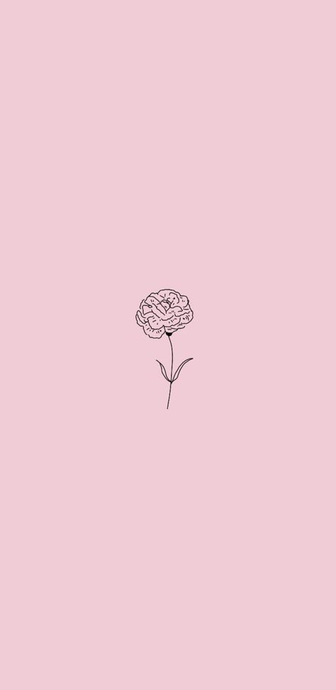 Carnation Wallpaper Aesthetic, Carnation Flower Wallpaper, Carnation Wallpaper, Flower Lockscreen, Carnation Flower, Beige Aesthetic, Aesthetic Iphone, Profile Pics, Girly Art