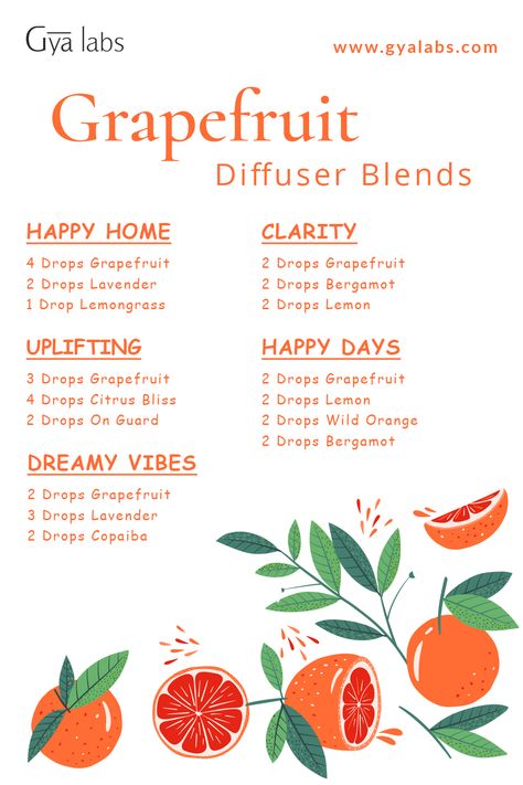 A bottle of Grapefruit Essential Oil blend with fresh grapefruits in the background. Aromatherapy Diy, Essential Oil Perfume Blends, Essential Oil Spray Recipes, Essential Oil Perfumes Recipes, Diy Candle Making, Liver Care, Essential Oil Combinations, Essential Oil Diffuser Blends Recipes, Oil For Skin