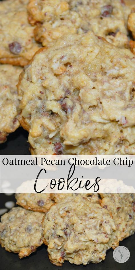 Oatmeal Pecan Chocolate Chip Cookies, Oatmeal Chocolate Chip Pecan Cookies, Holiday Oatmeal, Oatmeal Pecan Cookies, Brownies Coconut, Pecan Chocolate Chip Cookies, Cookies Oatmeal, Plating Food, Presentation Food