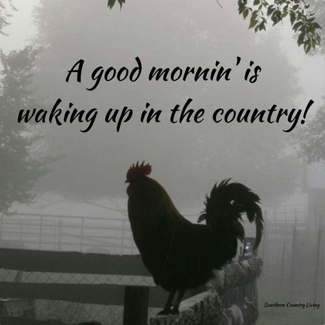 fact. Morning Sounds, Pamela Brown, Faith Family Farming, Farm Quotes, Humor Quotes, Country Quotes, Farms Living, Down On The Farm, Country Charm