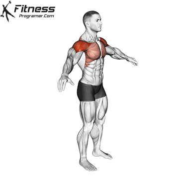 Arm Circles 1 Arm Circles Workout, Arm Circles Exercise, Office Exercises, Shoulder Strengthening, Rotator Cuff Exercises, Boxing Training Workout, Chest Workout Routine, Best Shoulder Workout, Body Toning