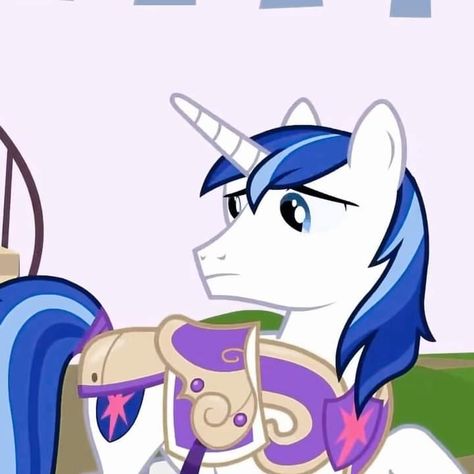 Shining Armour My Little Pony, My Little Pony Boys, Canterlot Wedding, Crush Cake, Male Cartoon Characters, Old Cartoon Shows, Mlp Twilight, Kids Cartoon Characters, My Little Pony Characters