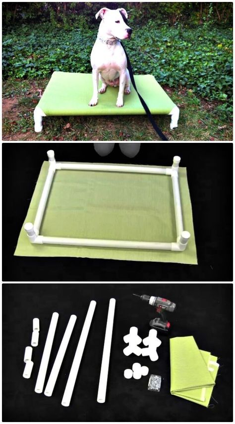 (paid link) Fun House Design Ideas for Your Pets. My favorite house design ideas for your pets. Pet shower, built-in dog and cat beds, cat-walk, built-in dog kennel. Diy Pvc Dog Bed, Pvc Dog Bed, Dog Bed Ideas, Cheap Dog Kennels, Dog Bed Frame, Diy Pet Bed, Diy Dog Crate, Dogs Diy Projects, Diy Dog Kennel