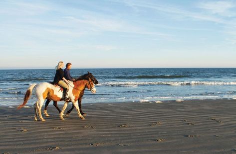 Seabrook Island South Carolina, Island Activities, Seabrook Island, Beach Rides, Island Villa, Equestrian Center, Pony Rides, Beach Activities, North Beach