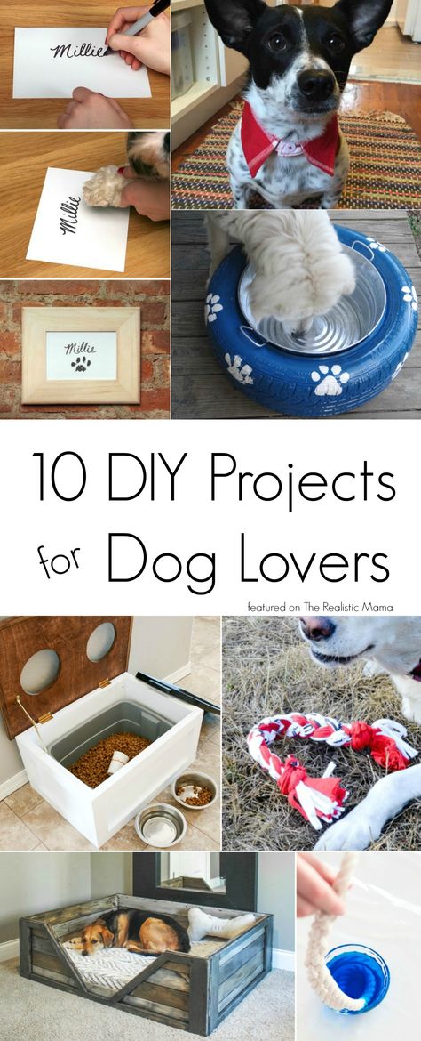 10 of the Best DIY Projects for Dog Lovers Lou Dog, Popcorn Tin, Dogs Diy Projects, Diy Dog Food, Dog Food Container, Desk Diy, Dog Projects, Interactive Dog Toys, Dog Crafts