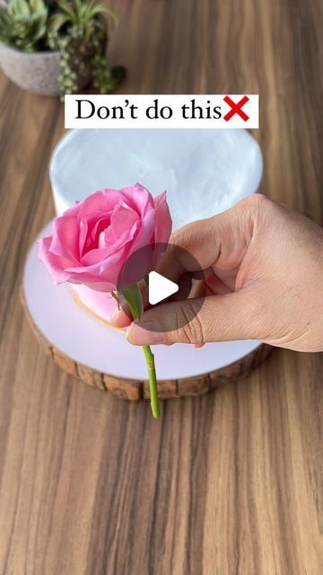 Shilpa Birajdar | Pune Cake Artist | Pune Baking Classes on Instagram: "When using real flowers to decorate your cake, follow these important step for a safe and beautiful cake👇🏻  First remove the stems from the flowers, leaving just the blossom. Next gently insert a toothpick into the base of each flower for added stability. Finally carefully insert the toothpick into the cake, positioning the flowers as desired.   This method keeps the flowers secure and prevents direct contact with the cake, ensuring a beautiful and safe decoration!✨💖  Follow @thebakenmorestudio for more✅  #reels #reelsinstagram #bakers #bakersofinstagram #bakingtips #bakingtipsandtricks" Real Flowers Cake Decorating, Real Flower Cake Decorating, Real Flowers On Cake, Cake With Real Flowers, Flowers On Cake, Cake Artist, Chocolate Cake Decoration, Baking Classes, Beautiful Cake