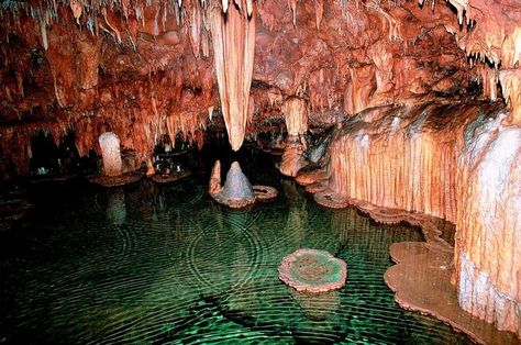 Another gem of Missouri’s unbelievable park system is the gorgeous Onondaga Cave State Park located on the Meramec River approximately 5 miles south of Leasburg. The park was established in 1982 and has numerous activities including cave tours, camping, fishing, hiking, picnicking, and swimming. Travel Adventure Quotes, Vacation Bucket List, Cave Tours, Quotes Adventure, Road Trip Ideas, Spring Trip, Adventure Quotes, Interesting History, Hidden Gem