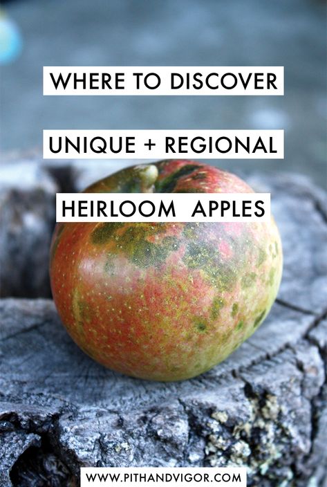 Where to Discover the Unique Joy of Regional Heirloom Apples | PITH + VIGOR Heirloom Apples, Gardening Reference, Heirloom Plants, Fruit Cages, Fruitarian Diet, Edible Forest, Apple Picking Season, Growing Raspberries, Travelling Tips