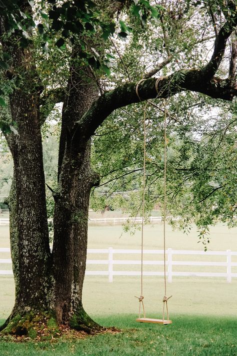 Trees With Swings, Swings On Trees, White Farm Fence, Tree Swing Ideas, Farm Backyard, Farm Fencing, Outdoor Swings, Tree Swings, Desk With Shelves