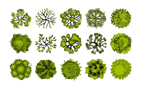 Trees Drawing, Botanic Park, Aerial Perspective, Trees Top View, Plant Texture, Tree Plan, Picture Tree, Plant Vector, Landscape Elements