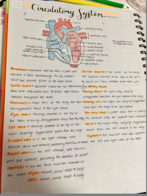 Life processes Learn Biology, Notes Life, Short Notes, Medicine Notes, Nursing School Motivation, Nurse Study Notes, Basic Anatomy And Physiology, Biology Facts, Medical Student Study